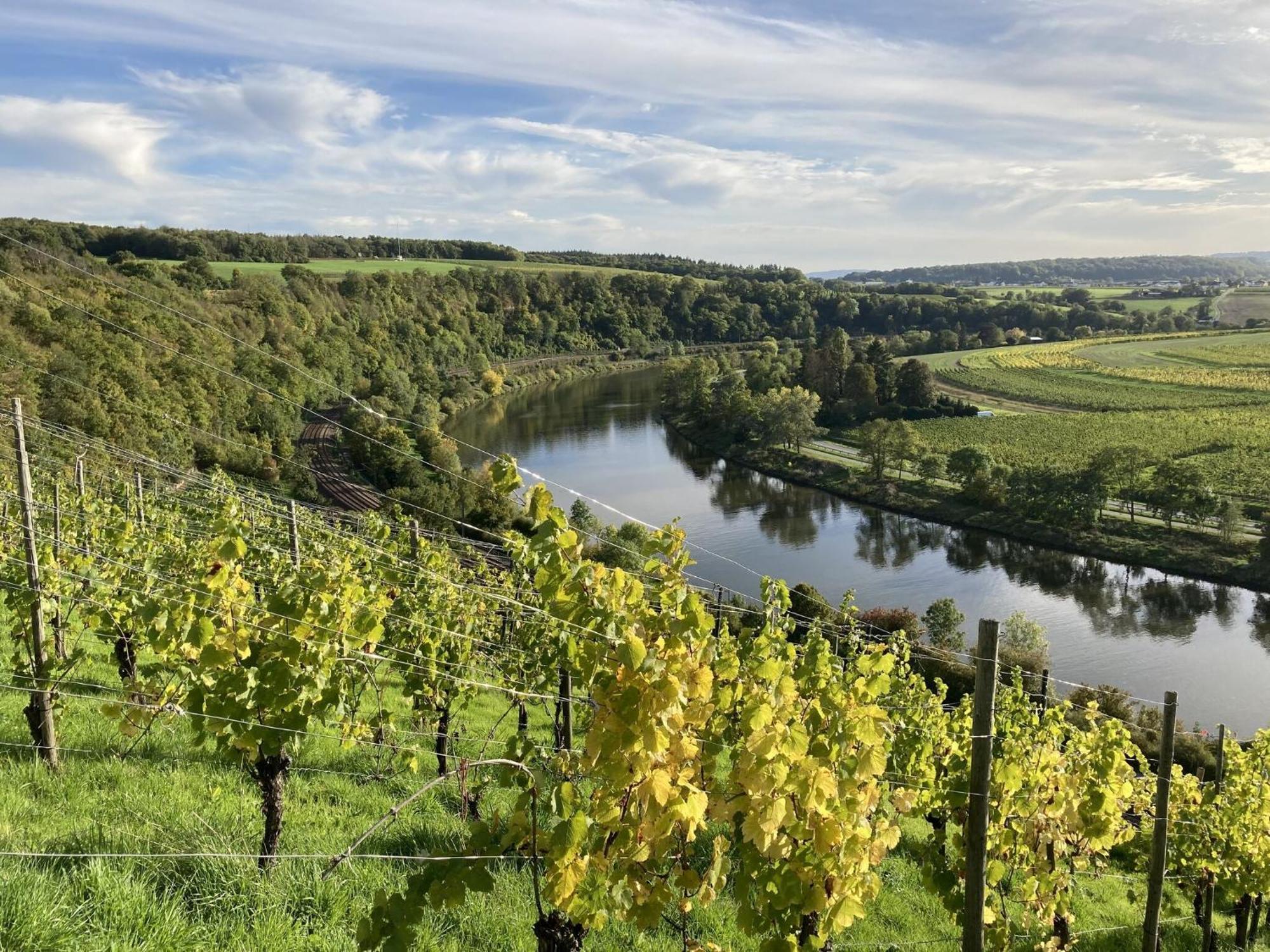 Comfortable Apartment In Ediger Eller Eifel Sankt Aldegund Zewnętrze zdjęcie