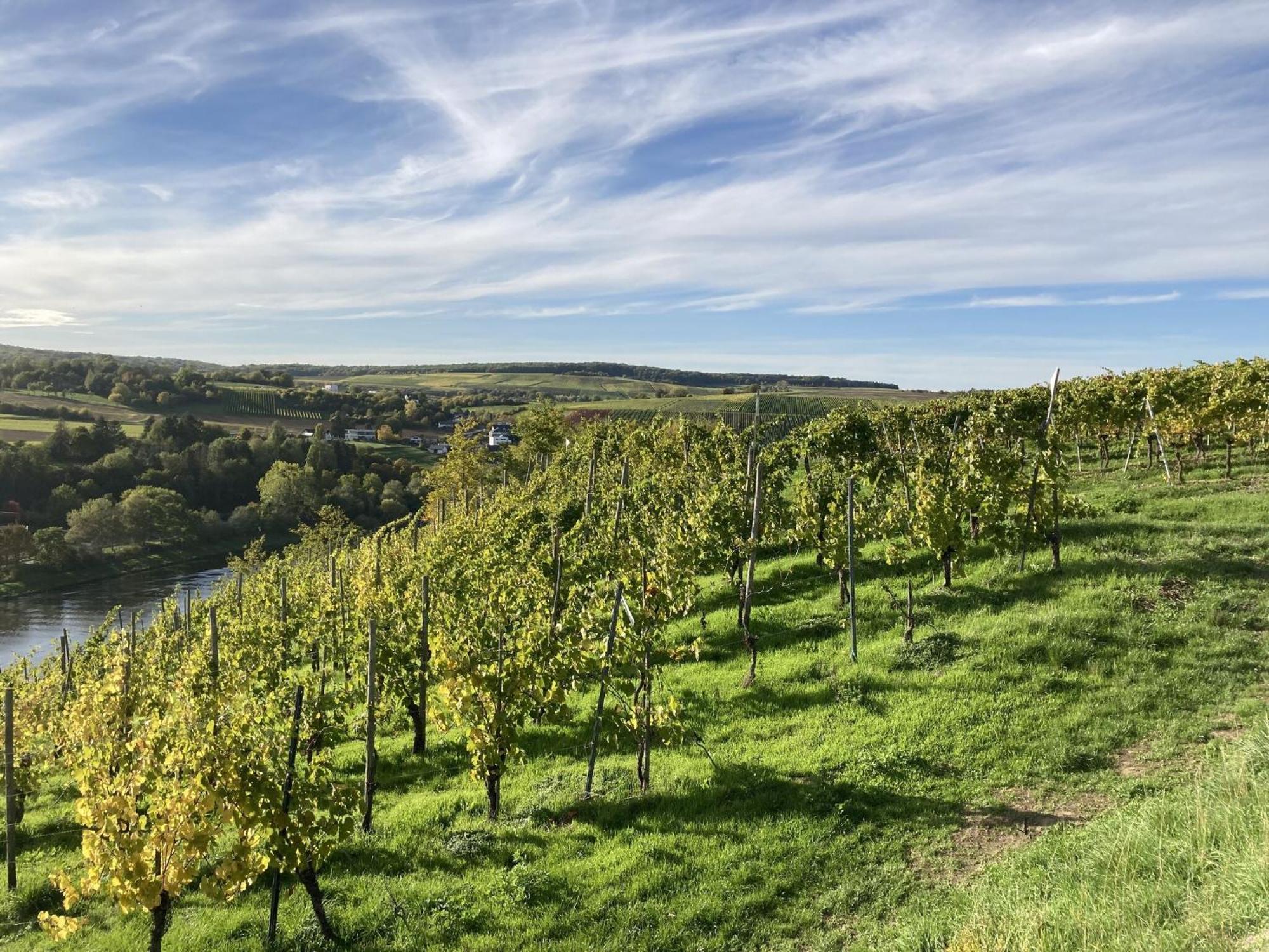 Comfortable Apartment In Ediger Eller Eifel Sankt Aldegund Zewnętrze zdjęcie