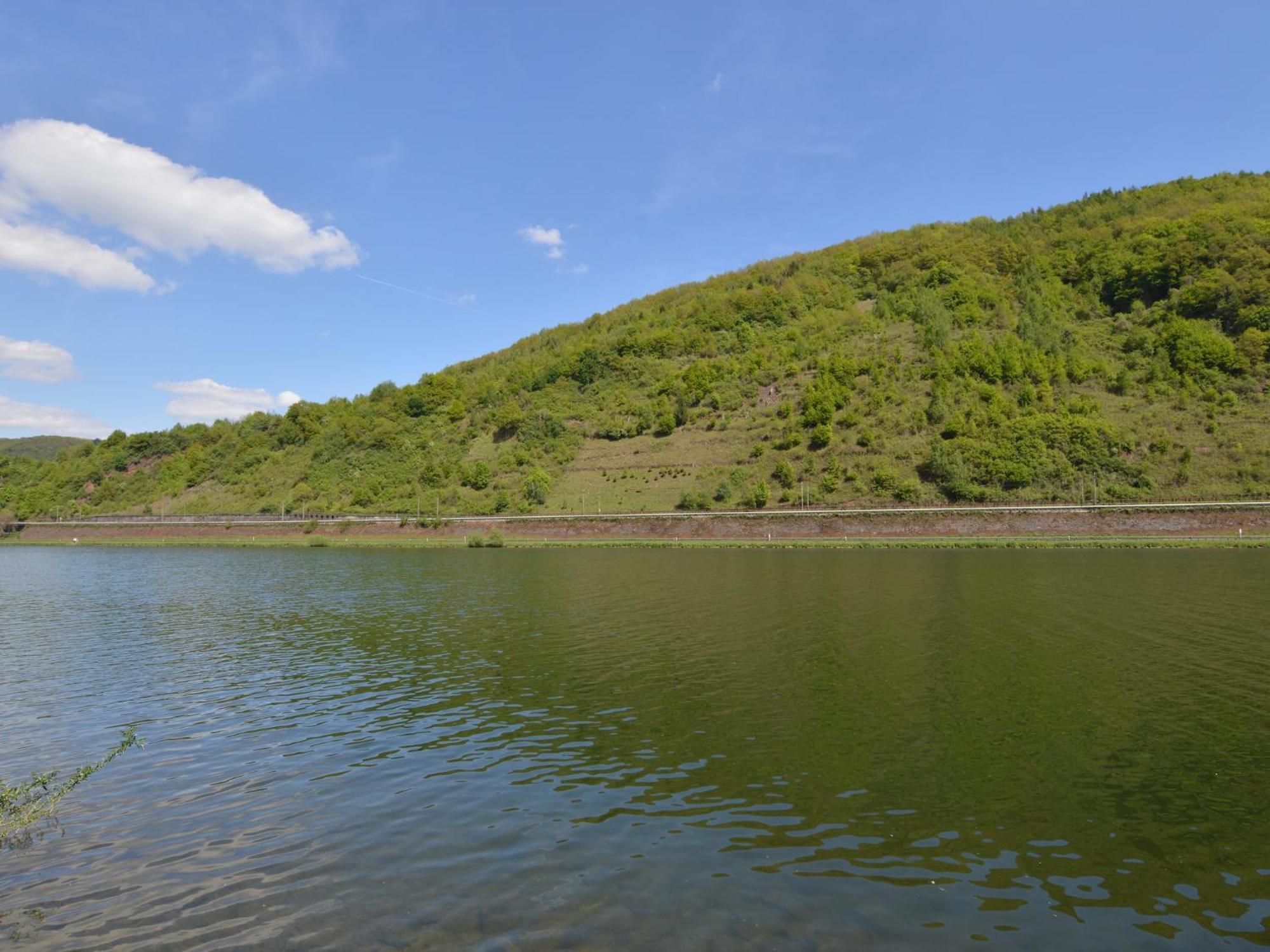 Comfortable Apartment In Ediger Eller Eifel Sankt Aldegund Zewnętrze zdjęcie